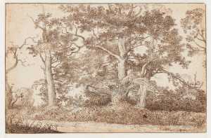 trees-along-a-path