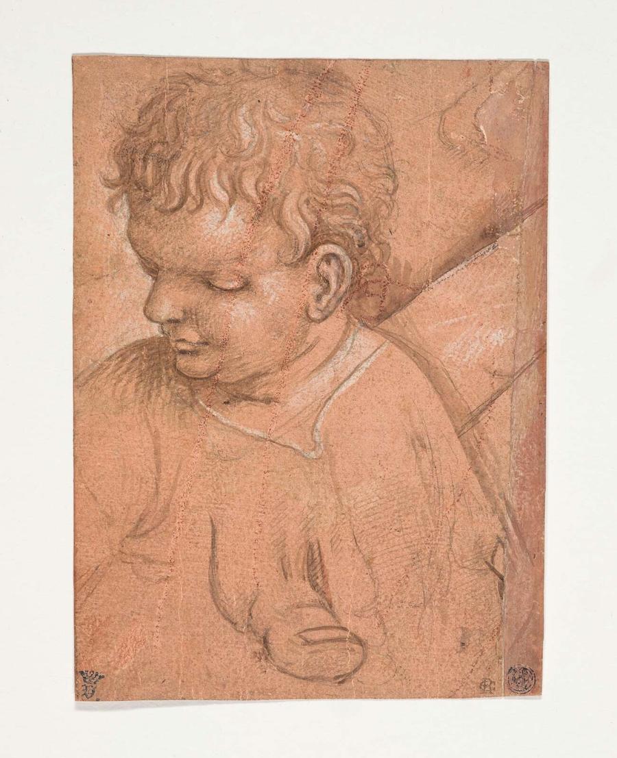 Head of a Boy and a Study of a Thumb or a Toe