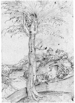 drawing