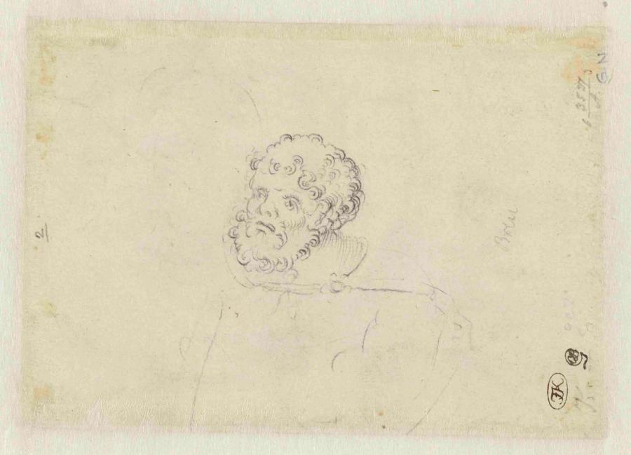 Head of a Bearded  Man