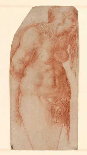 standing-naked-woman