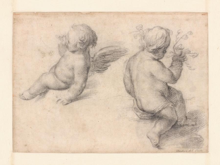 Two Studies of a Putto