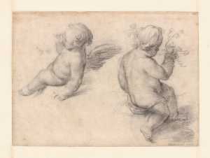 twee-studies-van-een-putto