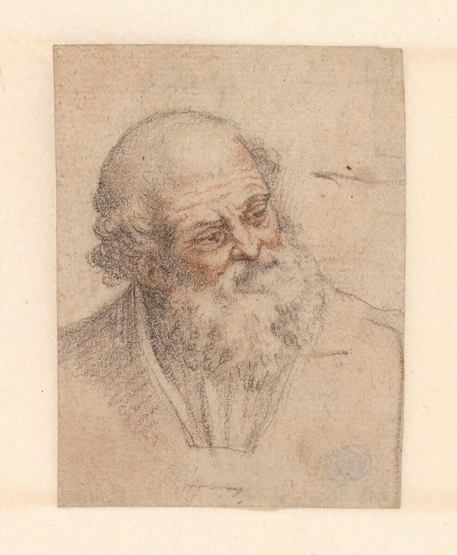 Head of a Bearded man