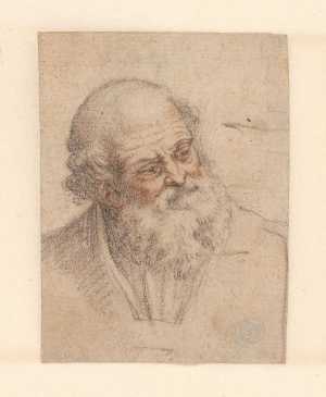 head-of-a-bearded-man