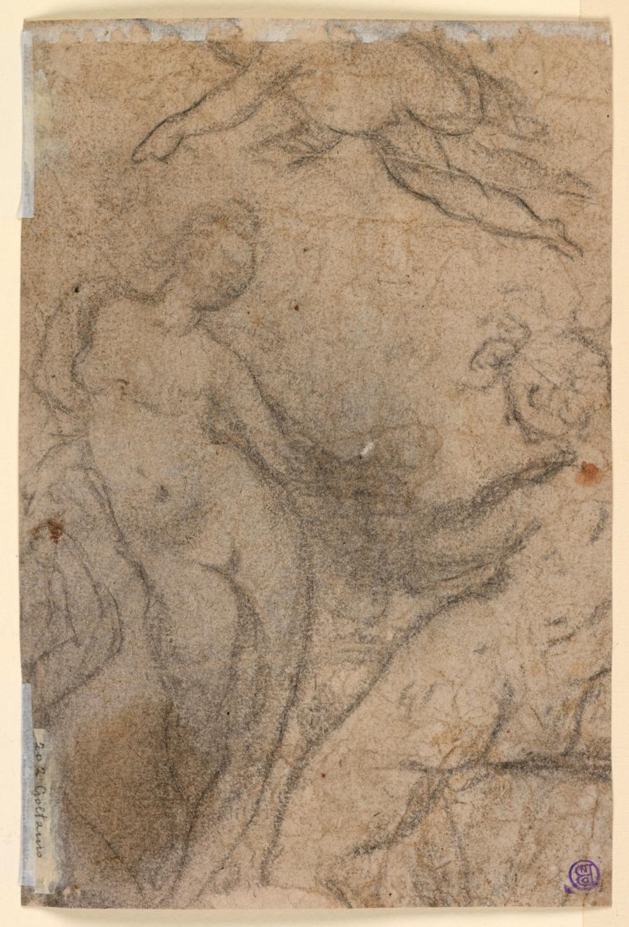Figuurstudies