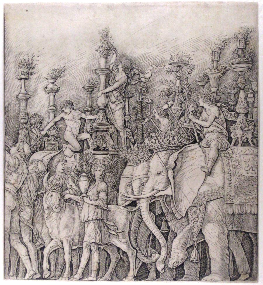 The Triumph of Caesar: the Elephants