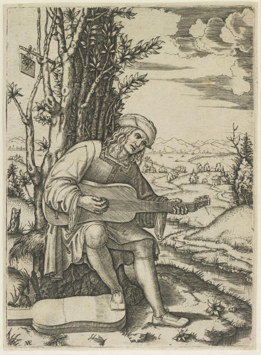 De gitaarspeler