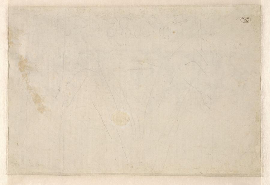 Sketch of a Baldachin