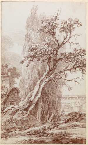landschap-met-hoge-boom-in-de-omgeving-van-beauvais