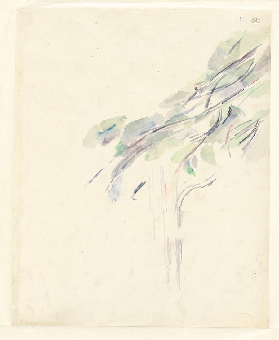 Study of a Tree