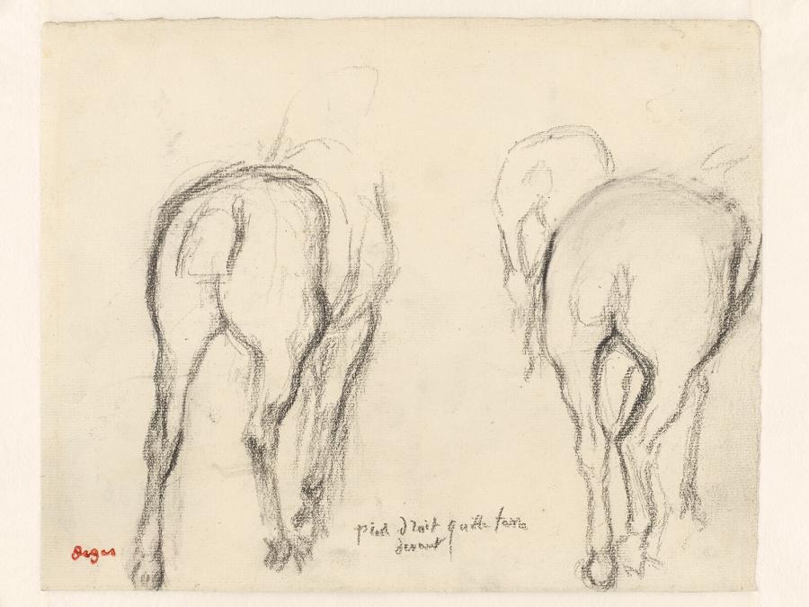 Lopende paarden, van achteren gezien