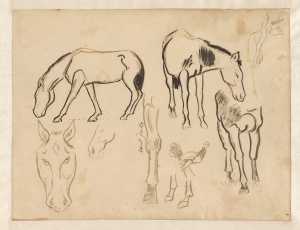 studieblad-met-paarden-en-een-haan