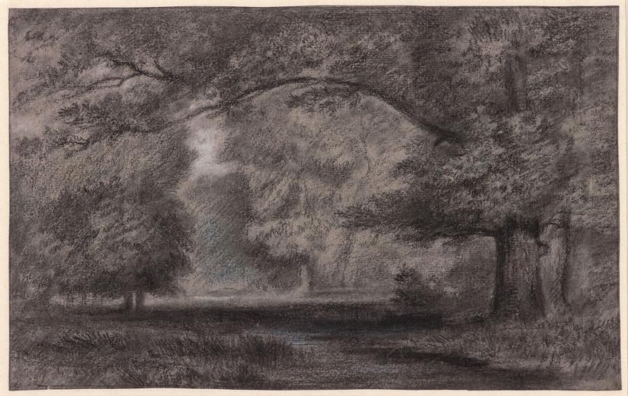 Clearing in a Forest