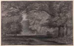 clearing-in-a-forest