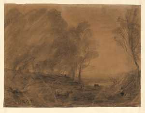 landschap-met-bomen-en-een-meertje