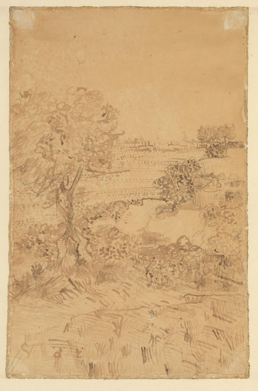 Landscape with Trees and a Distant View of Arles (Provence-Alpes-Côte d'Azur region, France)