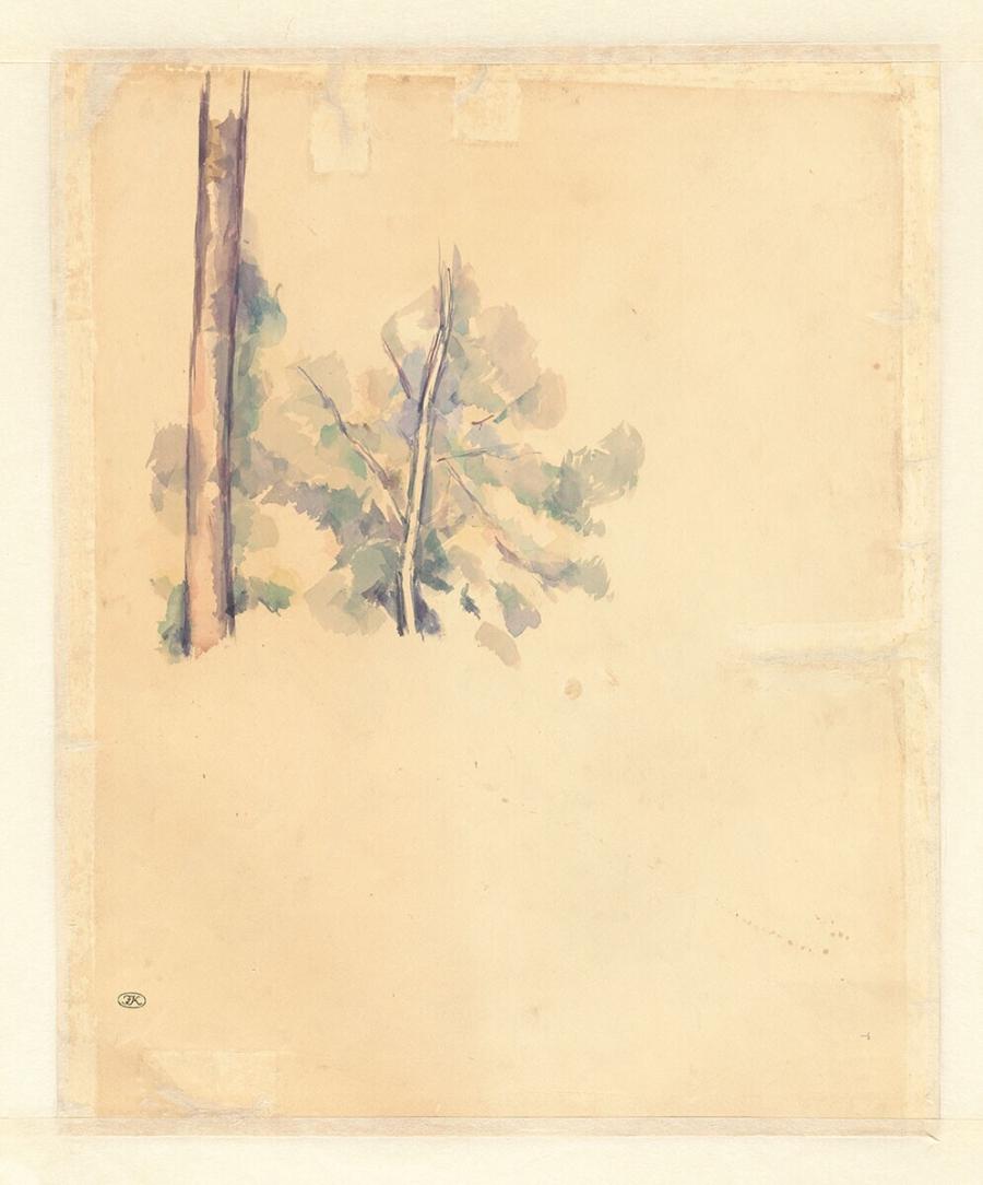 Studies of a Tree Trunk and a Bush
