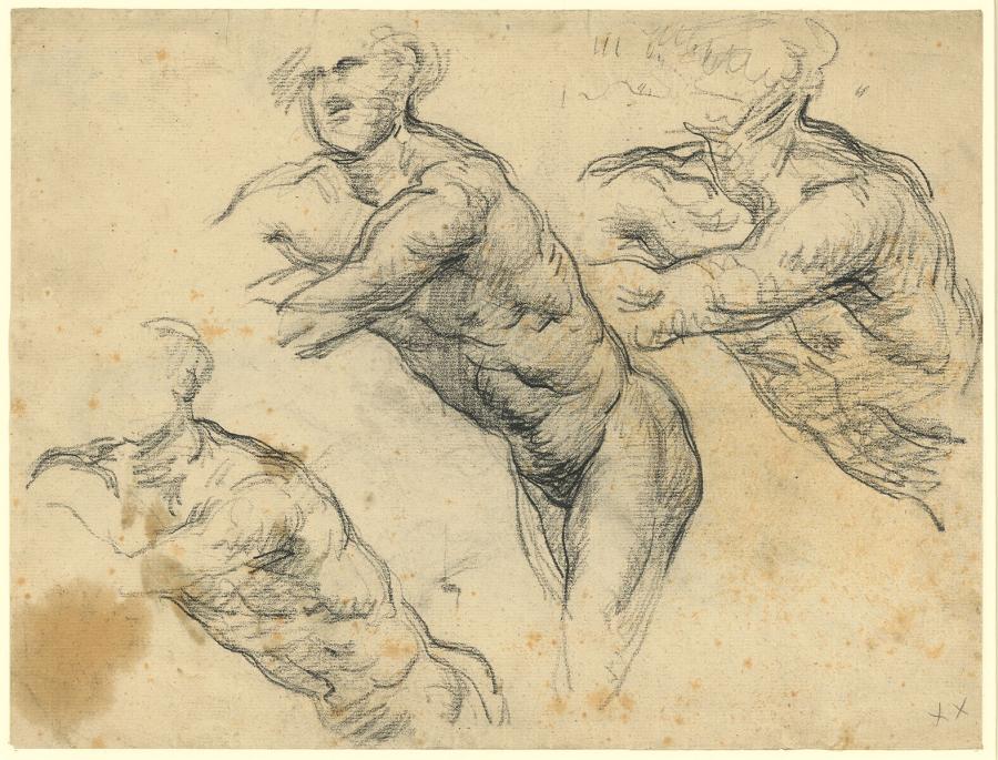 Studies of a Rower