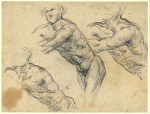 studies-of-a-rower
