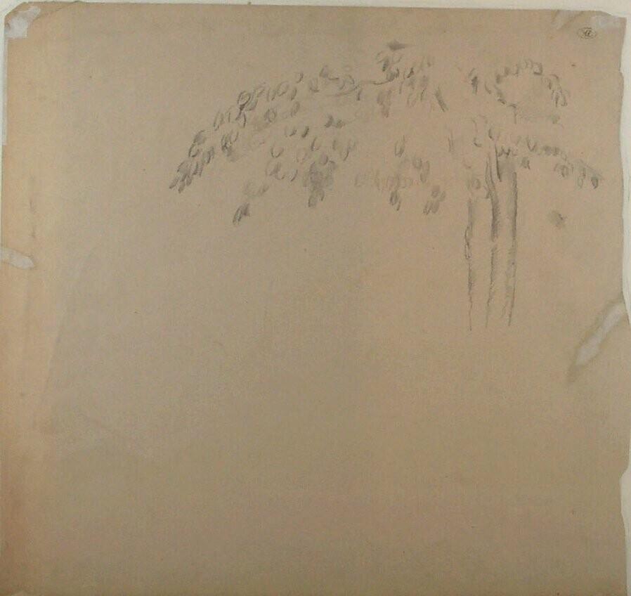 Study of a Tree Trunk with Foliage