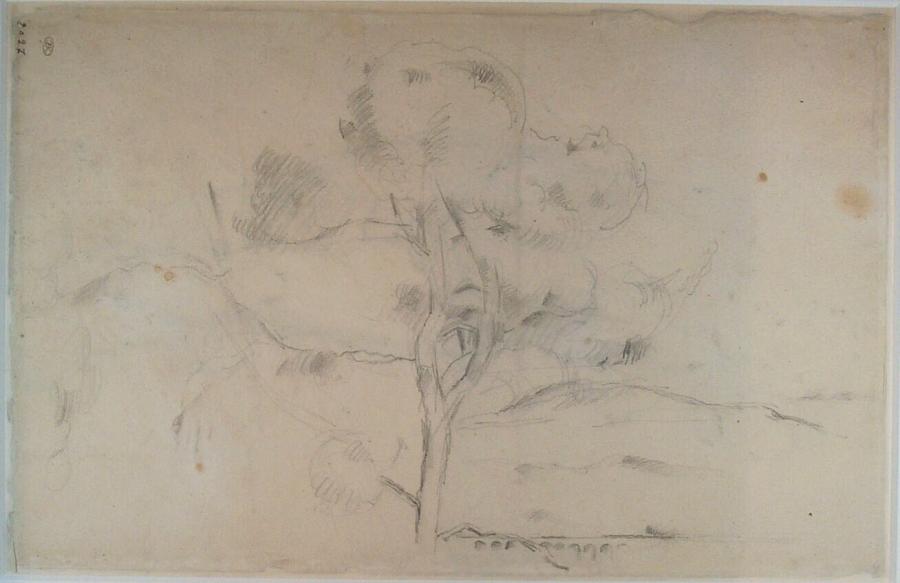Study of the Sainte-Victoire Mountain, with a Tree and an Aqueduct