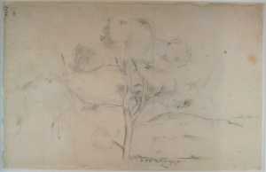 study-of-the-sainte-victoire-mountain-with-a-tree-and-an-aqueduct