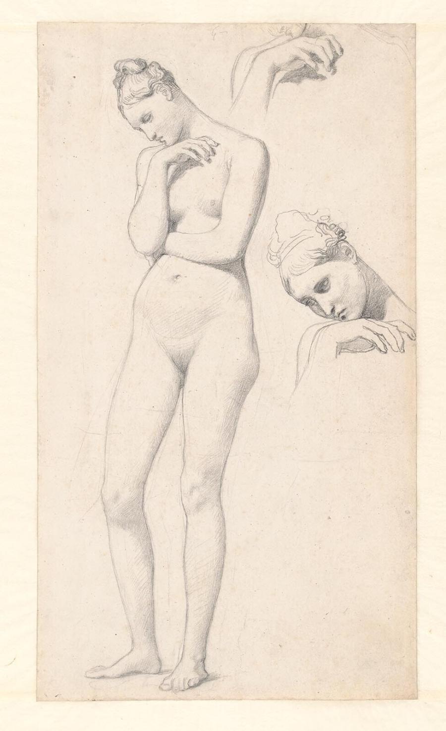 Studies voor de figuur van Stratonice