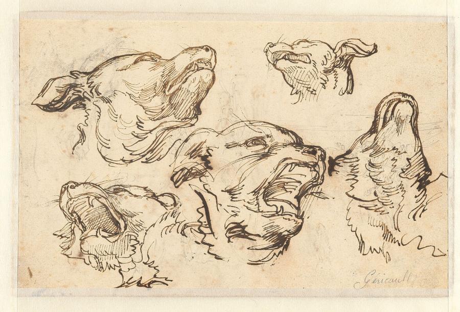 Study of a Head of a Barking Dog