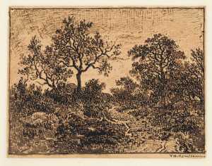 forest-view-in-fontainebleau