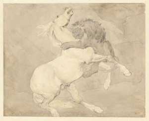 paard-aangevallen-door-een-leeuw