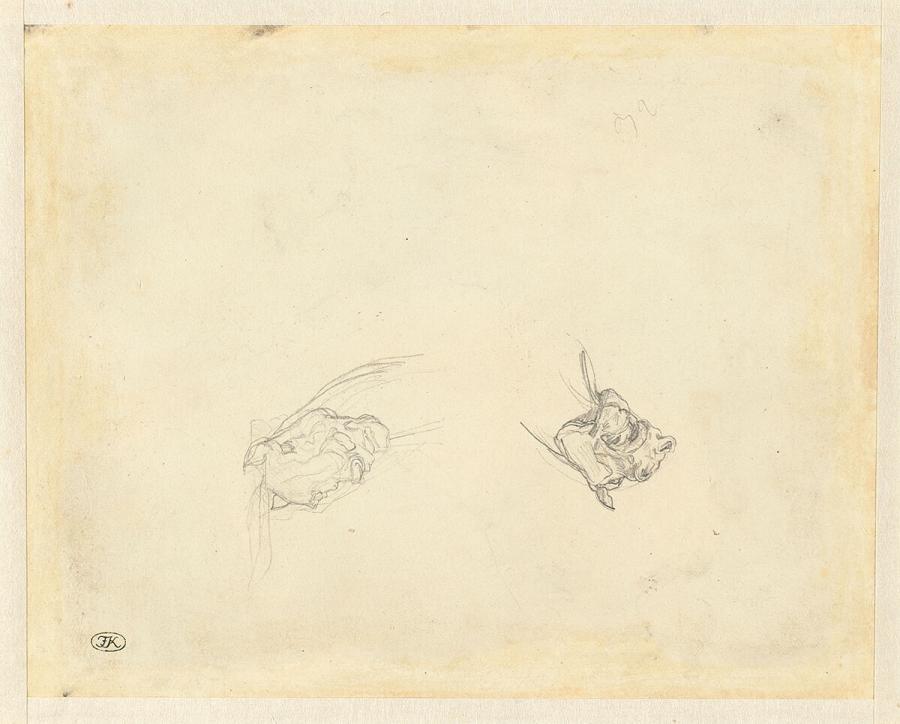 Two Sudies of a Head of a Horse