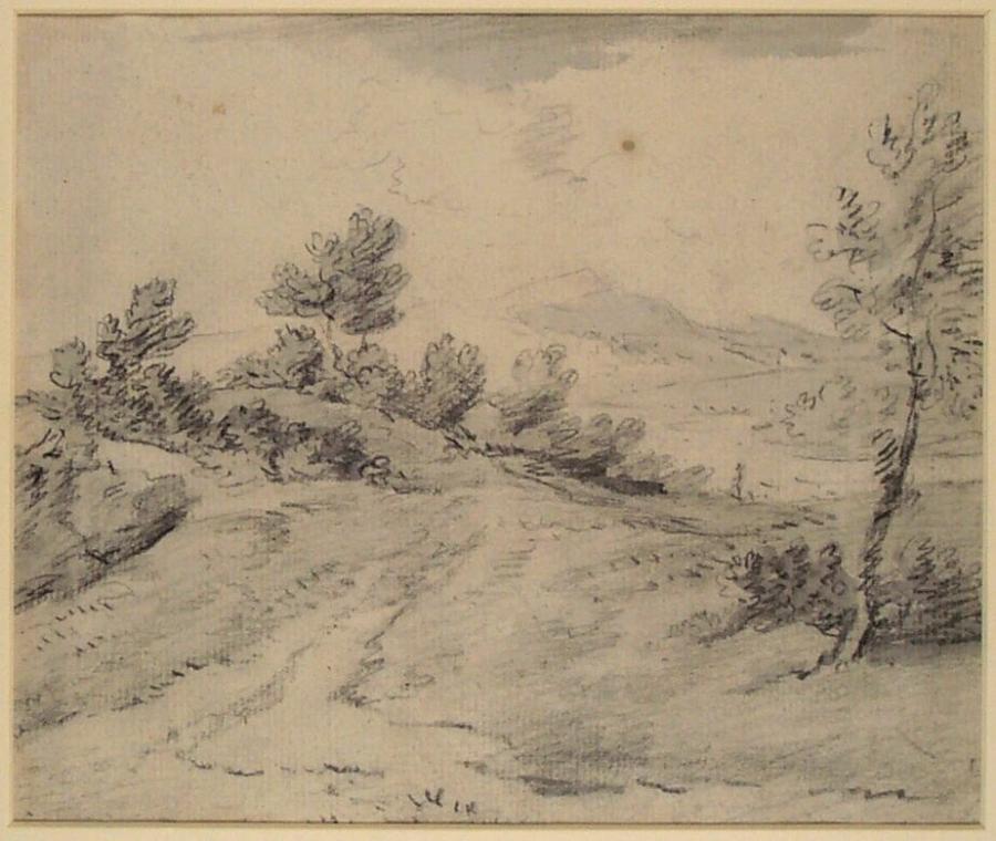 Hilly Landscape with Bushes Along a Dirt Road