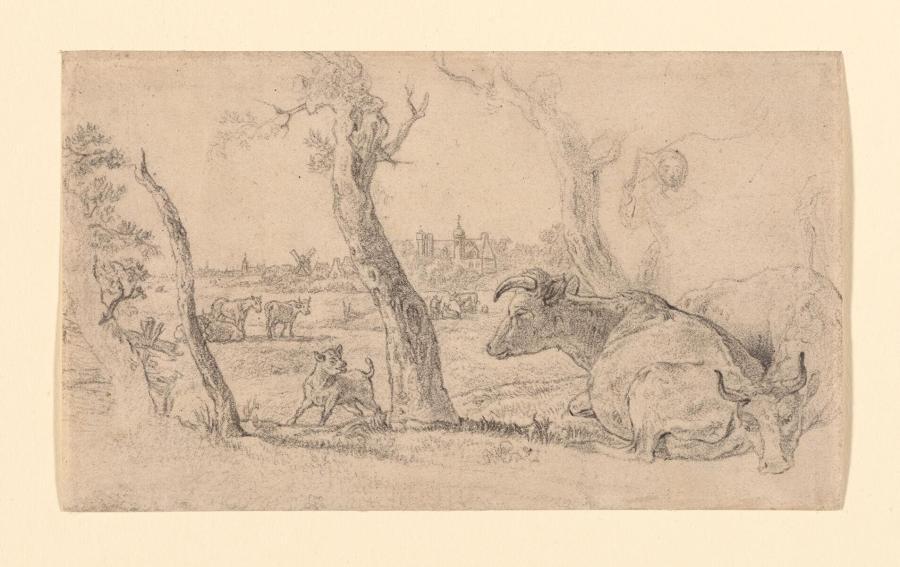 Koeien in een landschap voor een stad