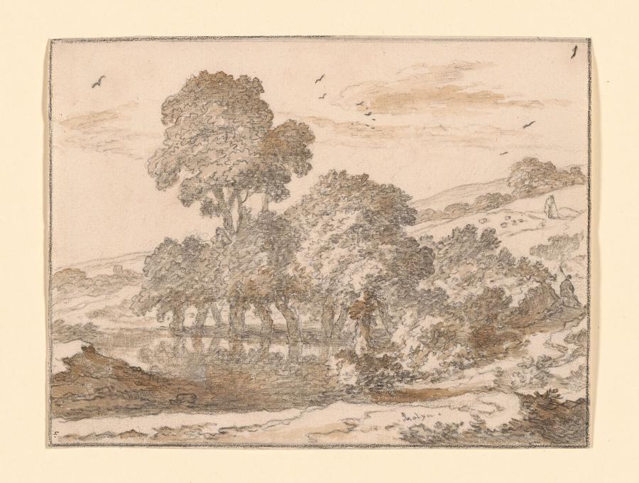 Heuvelachtig landschap met bomen langs een meer