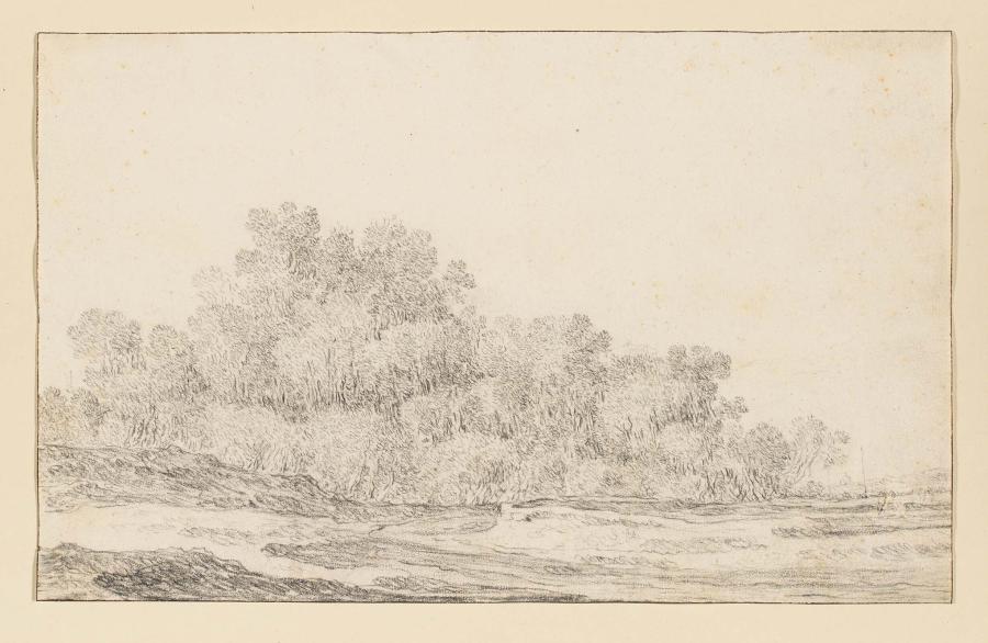Vlak landschap met rechts dichte boomgroep
