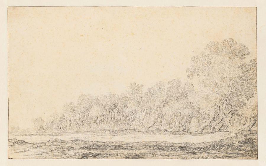 Flat Landscape with the Fringe of a Wood