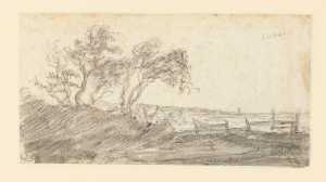 duinlandschap