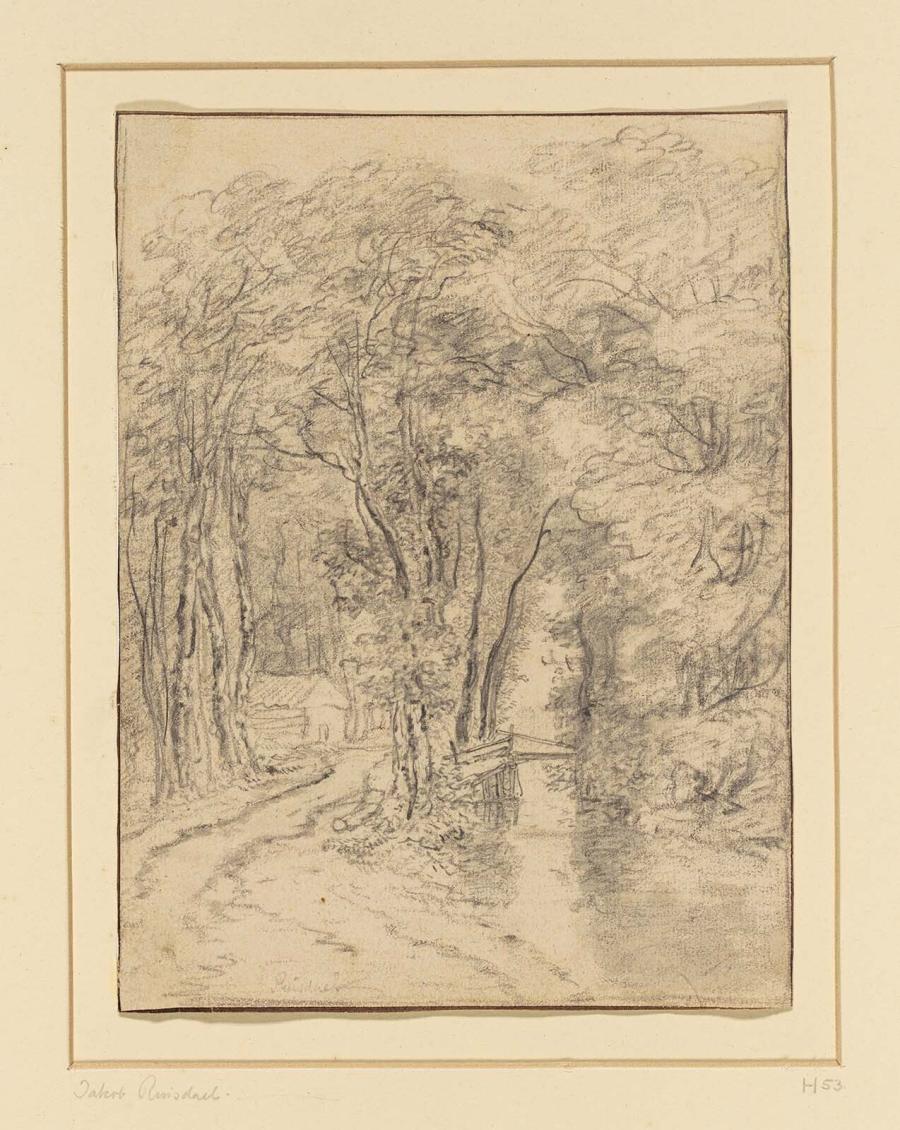 Forest View with Creek and Bridge