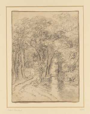 gezicht-in-een-bos-met-beek-en-bruggetje