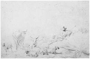 drawing