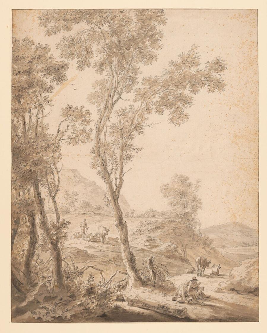Mountainous Landscape with Tall Trees