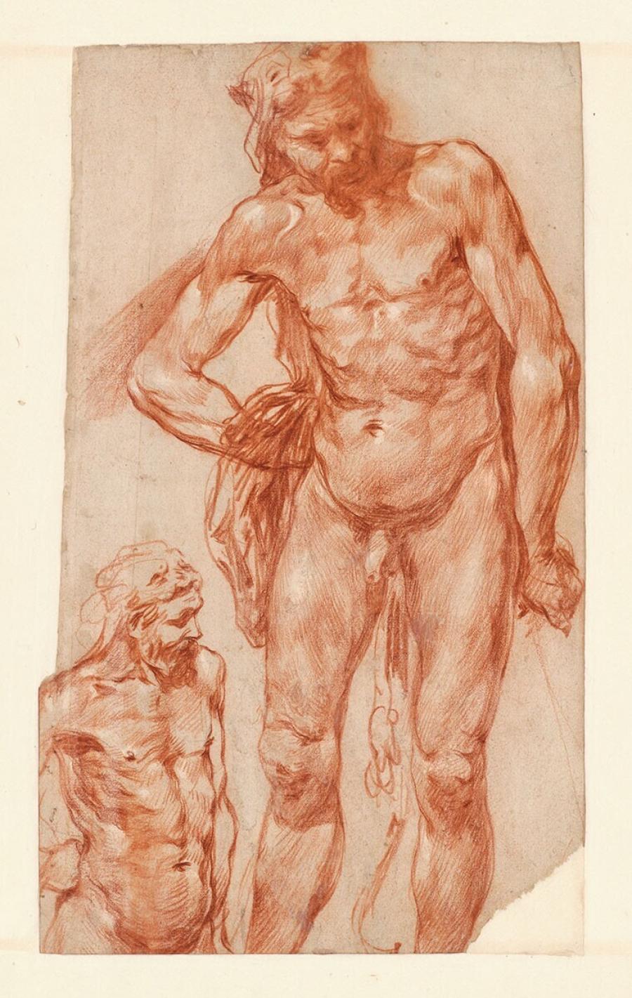 Studies voor een Hercules