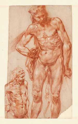 studies-voor-een-hercules