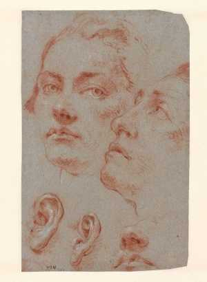 studies-of-a-young-man-s-head-and-ears