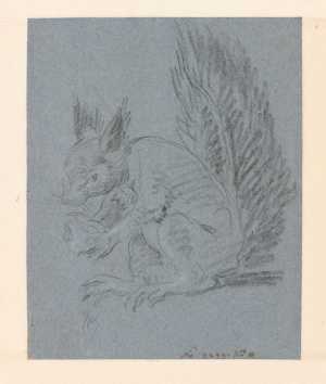 squirrel