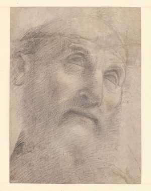 studie-van-een-manshoofd-voor-een-heilige-simeon