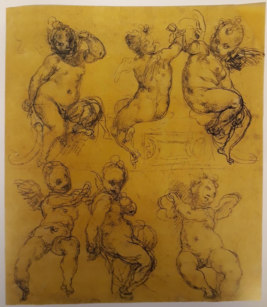 Six Studies of Putti in Various Poses
