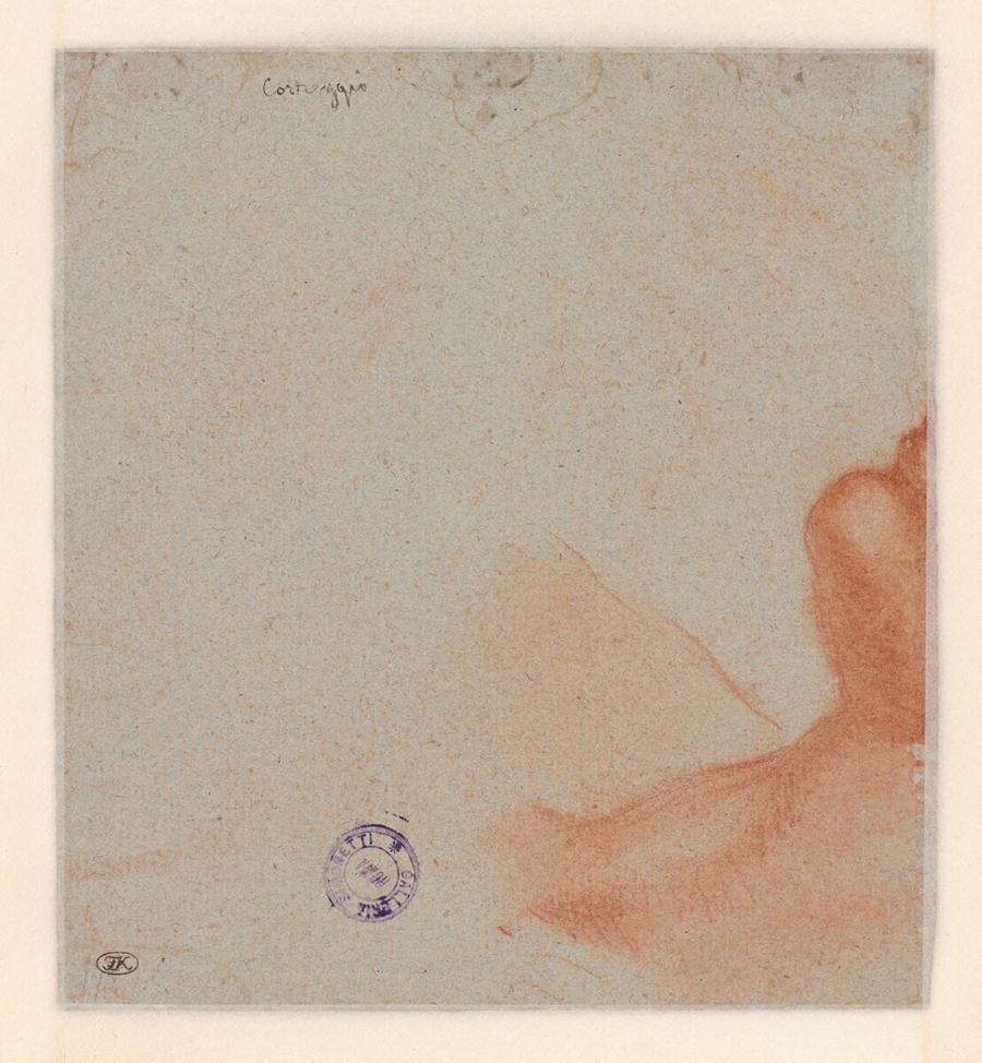 Sketch of a Chin and Shoulder
