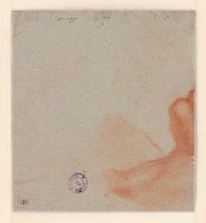 sketch-of-a-chin-and-shoulder